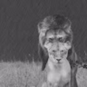 Meet your Posher, Jorja